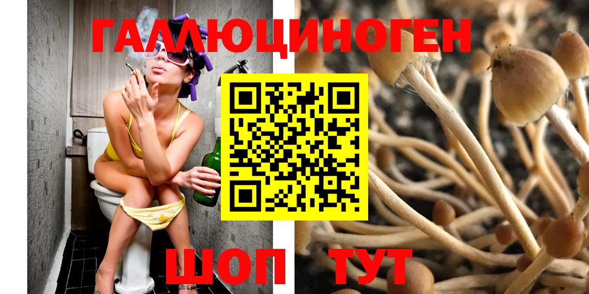 Вятские Поляны  Псилоцибиновые грибы прущие грибы  Вход с VPN 