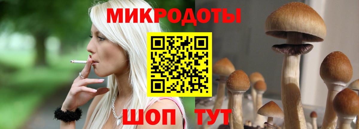 Псилоцибиновые грибы Cubensis Вятские Поляны