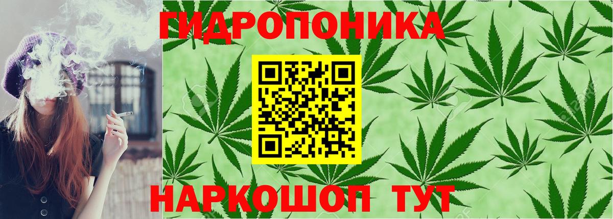 МАРИХУАНА SATIVA & INDICA  Каннабис VHQ  Вятские Поляны  Вход с VPN  Марихуана Ganja 